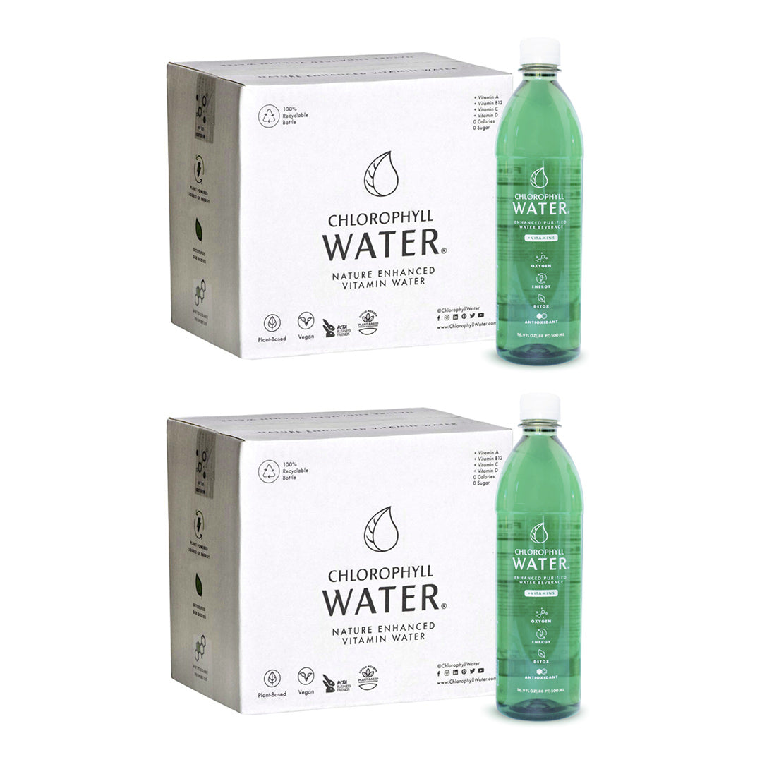 Chlorophyll Water® (2 Cases/24 Bottles) Purified Mountain Spring Water with Essential Vitamins - Chlorophyll Water 