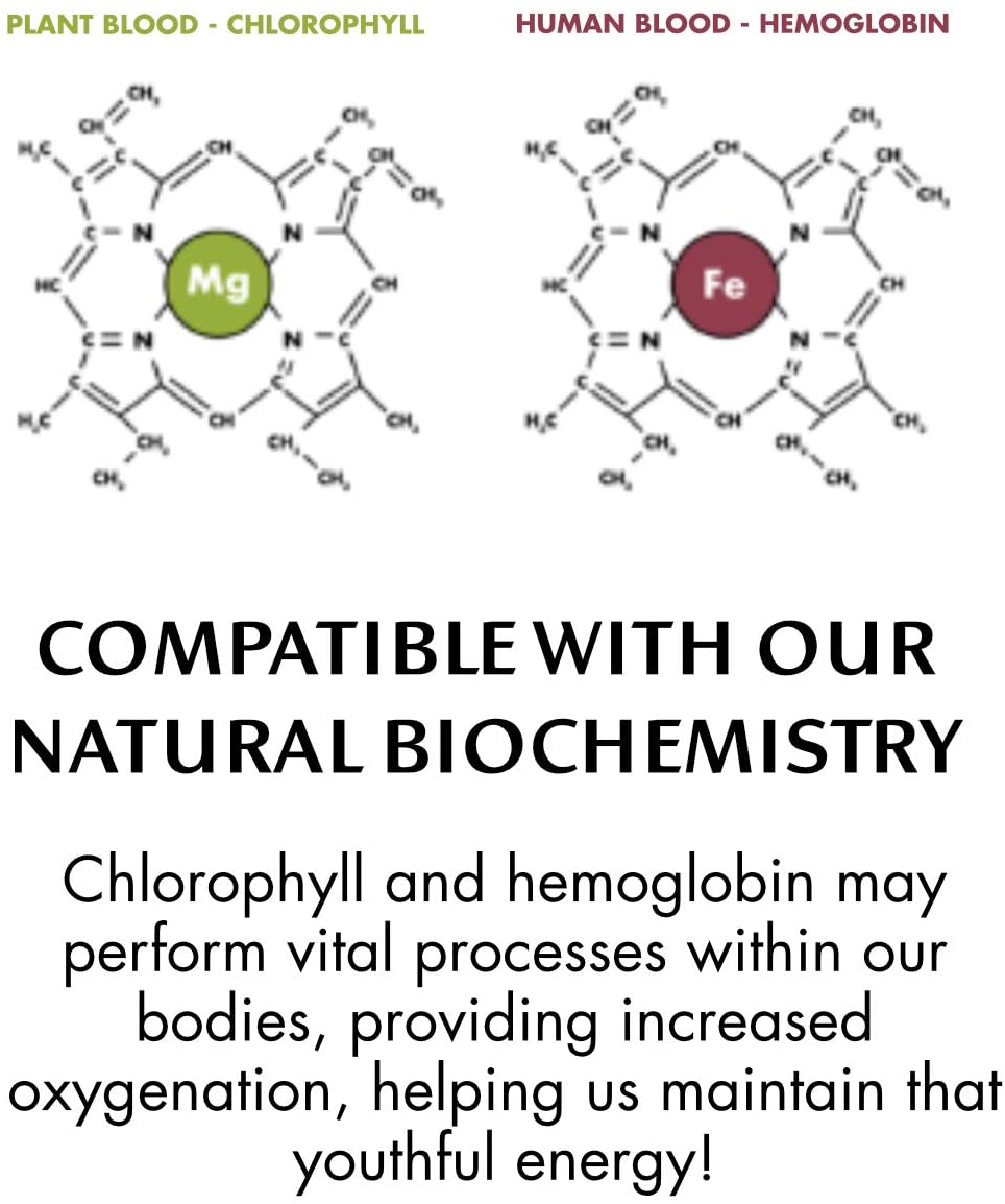 Chlorophyll Water® (2 Cases/24 Bottles) Purified Mountain Spring Water with Essential Vitamins - Chlorophyll Water 
