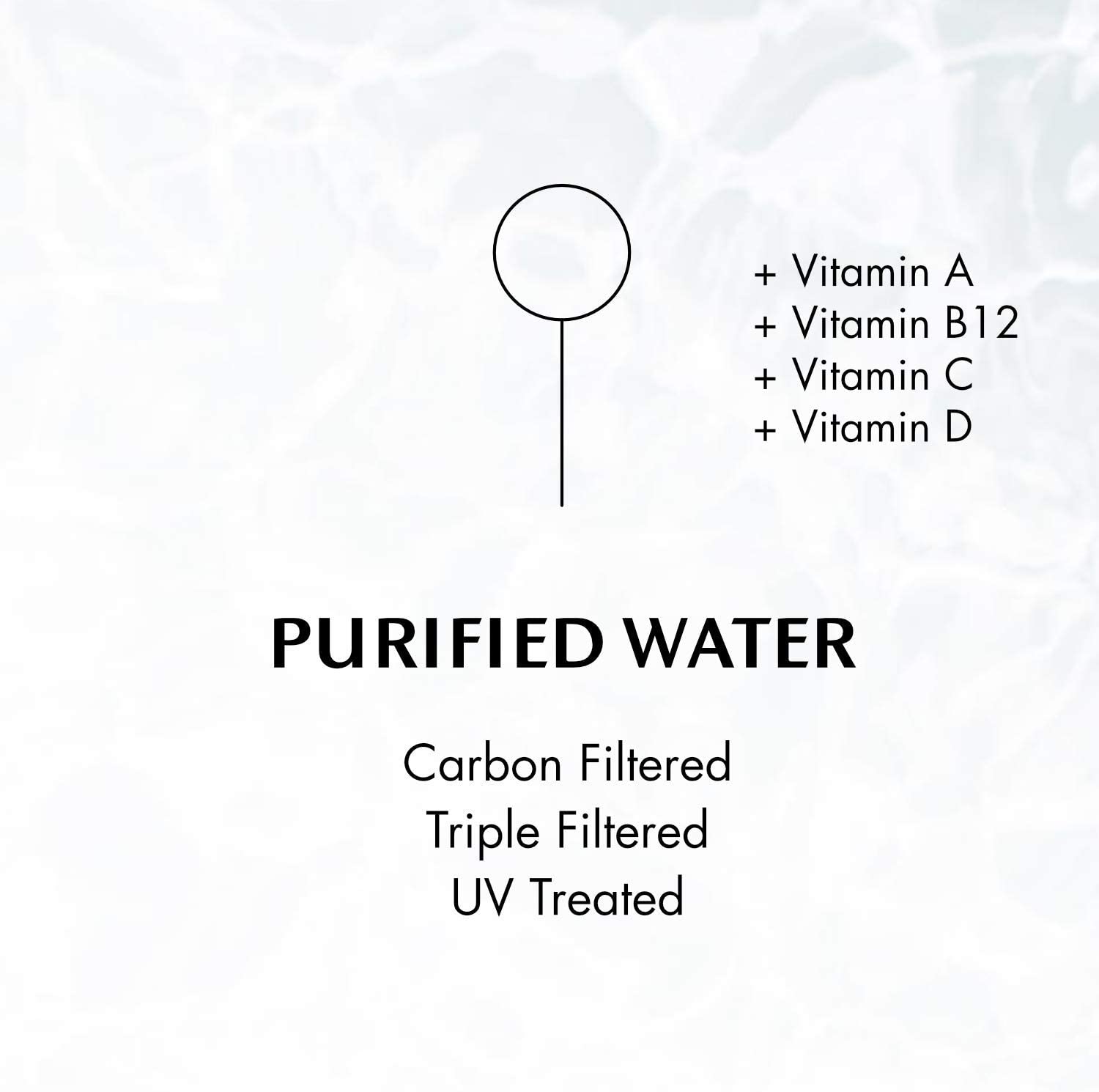 Chlorophyll Water® (2 Cases/24 Bottles) Purified Mountain Spring Water with Essential Vitamins - Chlorophyll Water 