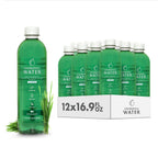 Case of Chlorophyll Water® | Purified Mountain Spring Water with Essential Vitamins